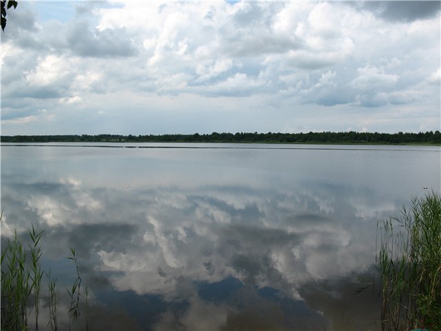 Штиль