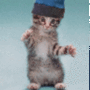 8a87287d07bf691aa6a6e19b05cc.gif
