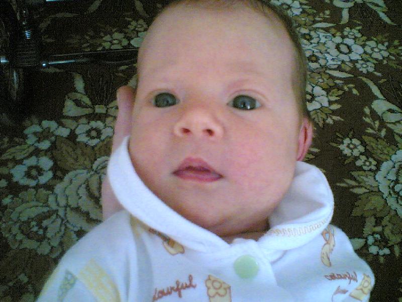 ��� ��������