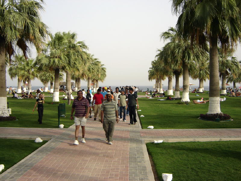 �� ������ ����� Sealine Beach Resort