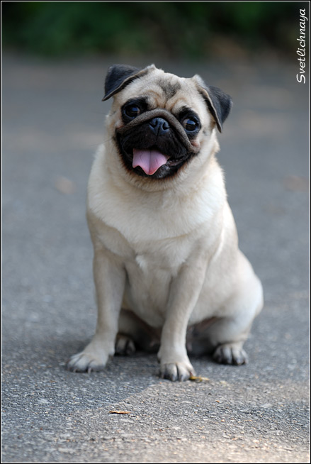��� ����