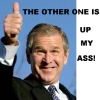 bush