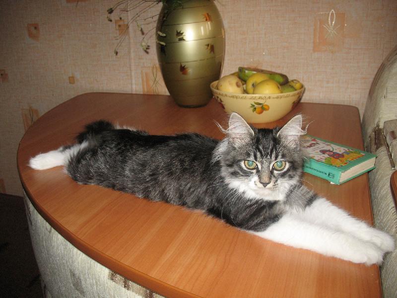 ������! ���������� �������