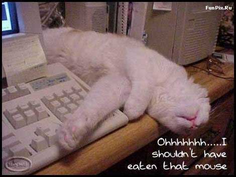 ��� �? ��� �...