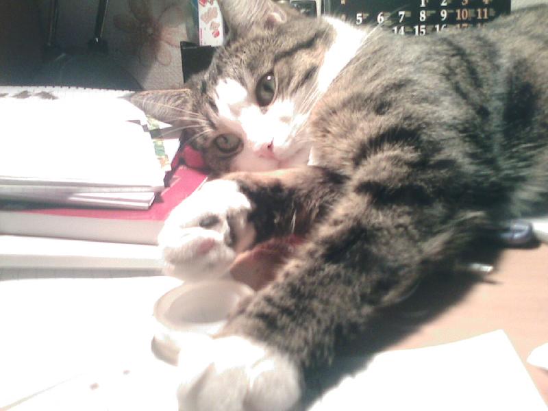 Sonja