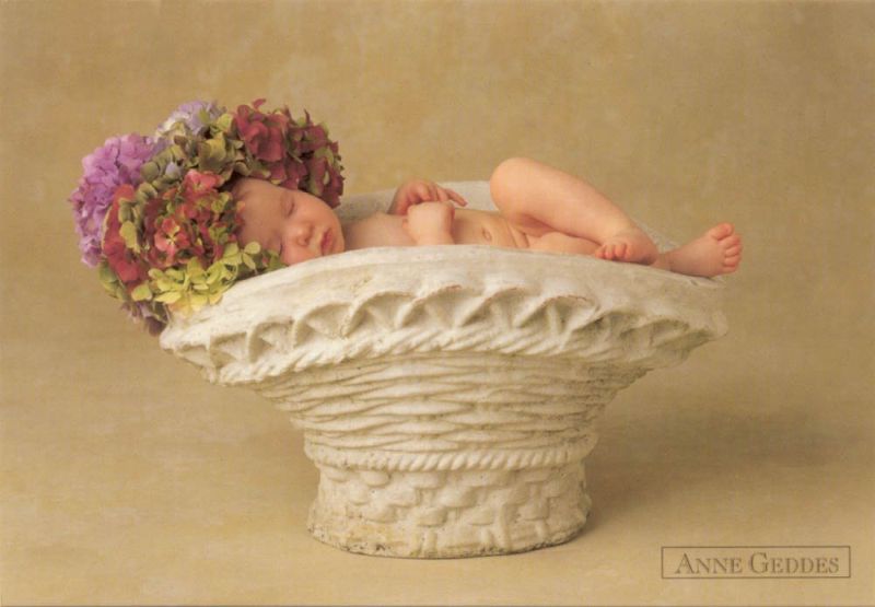 anne geddes