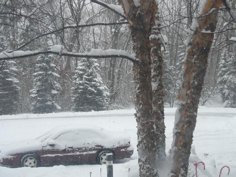 winter wonderland!01-01-08!