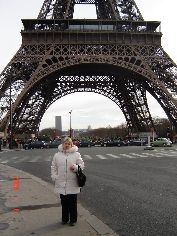 ������ 2008�