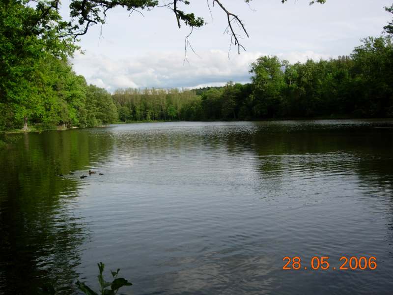 Stuttgart,Deutschland,Baerensee