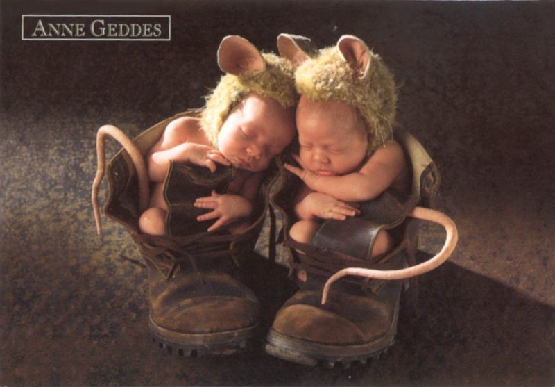 anne geddes