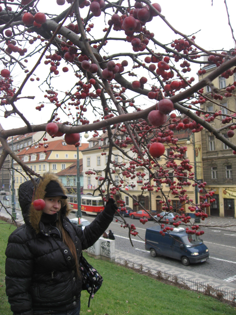 ����� ���� 2008