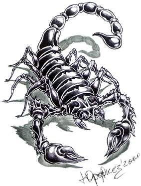 SKORPION