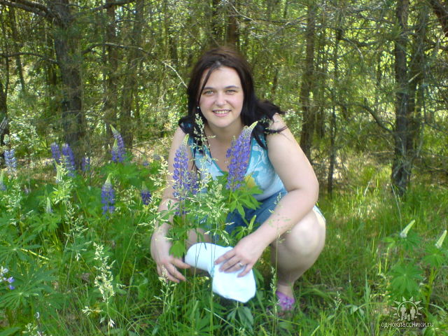 ��� 2007 (����� 95 ��.)