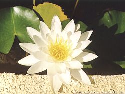 �����