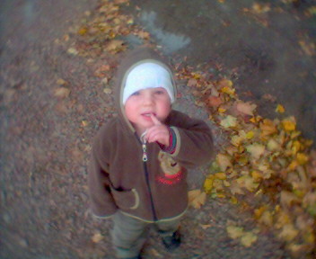 Kamilek