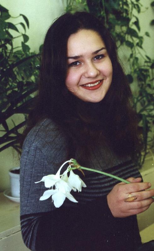 2000 ���