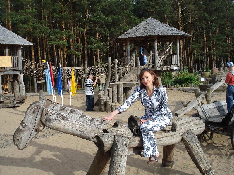 ���� 2008