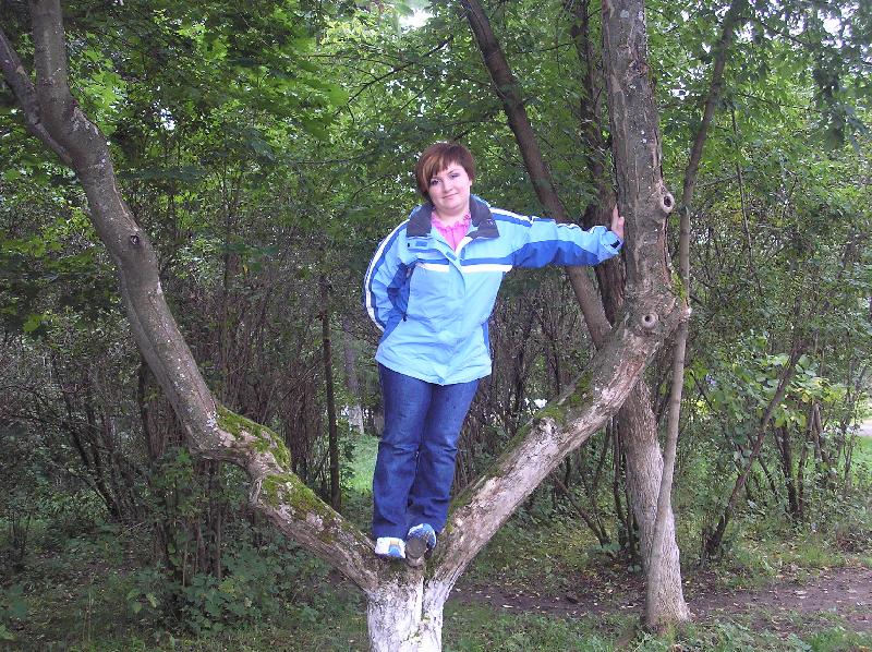 ���� 2006
