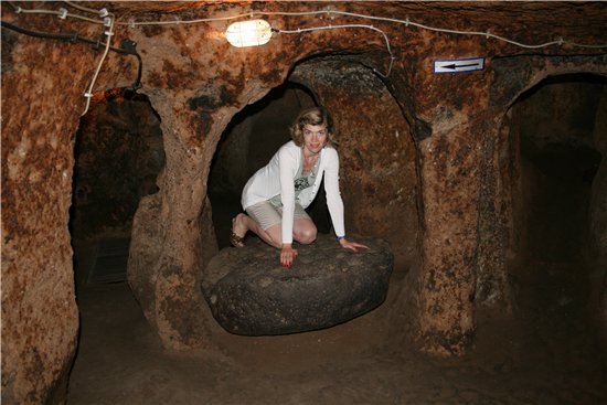 ������ ���� 2008