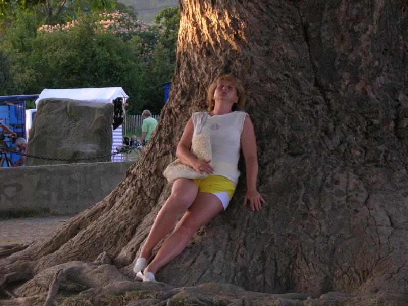 ������ 2008