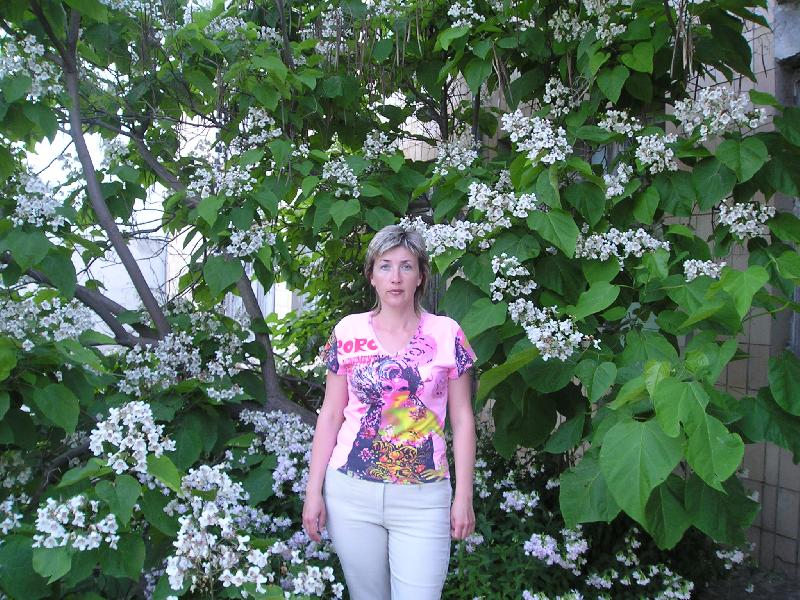 ��� ���� 2008