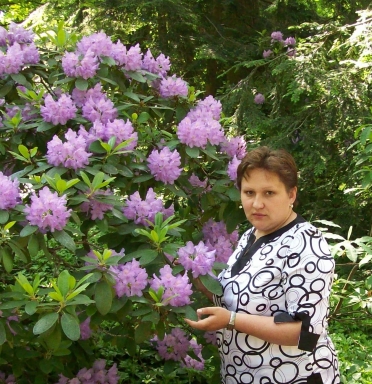 ��� � � ������ 102 ��