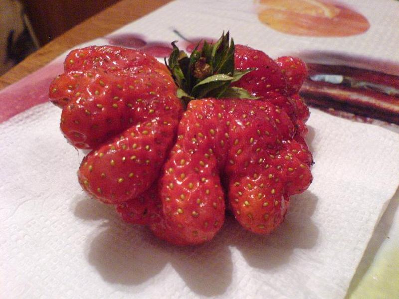 � ��� �� �������