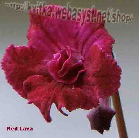 Red Lava