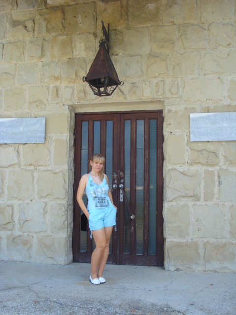 ���� 2008