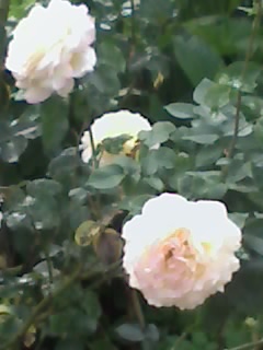 25-06-07_1854.jpg