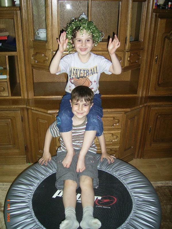 ���� 2006