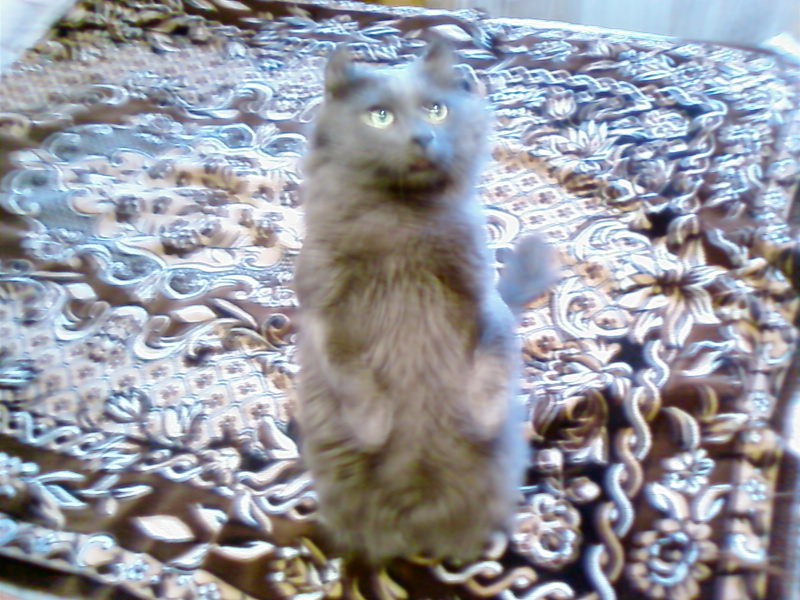 �������-������