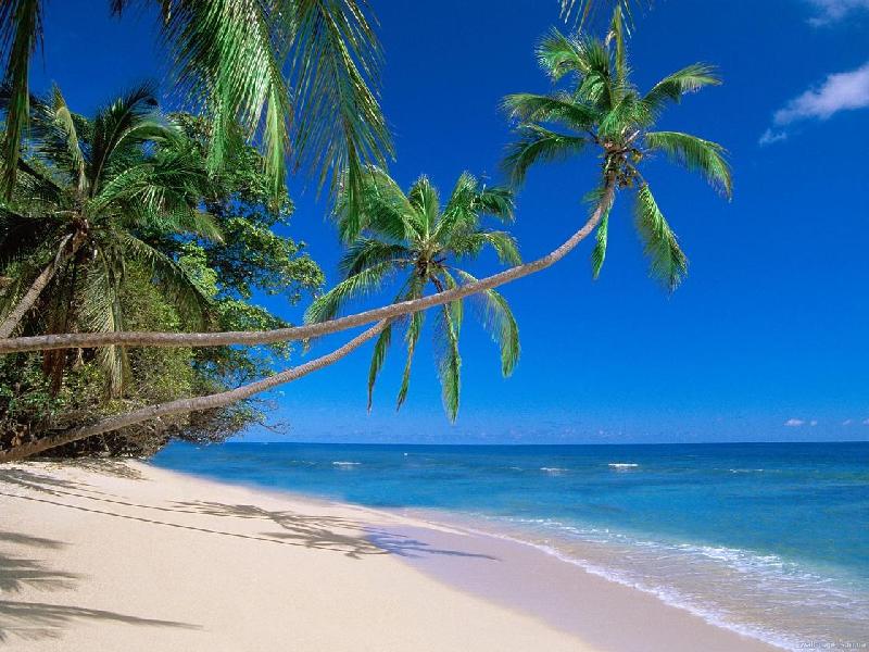 My dream