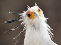 �����