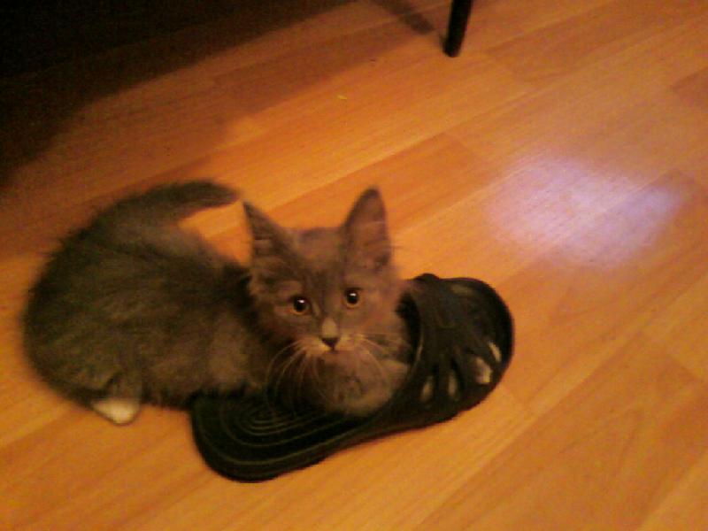 �����