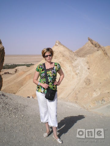 ����� 2008