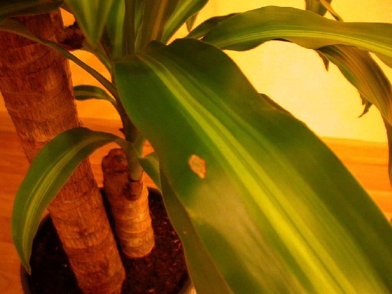 �������_��������