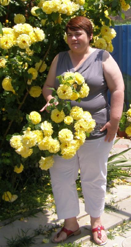 ����� ��� 2009
