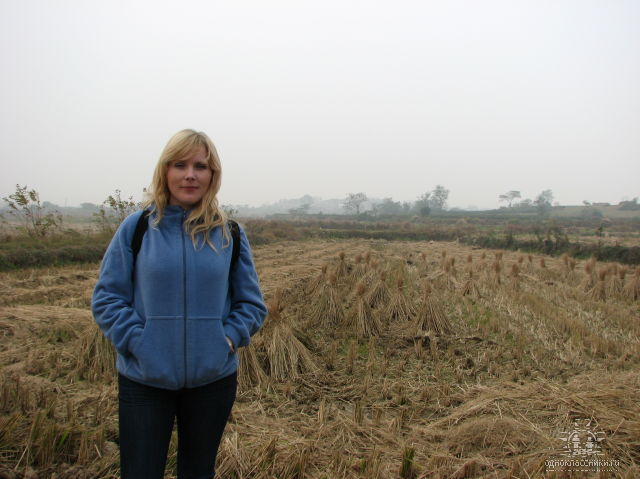 ������ 2007