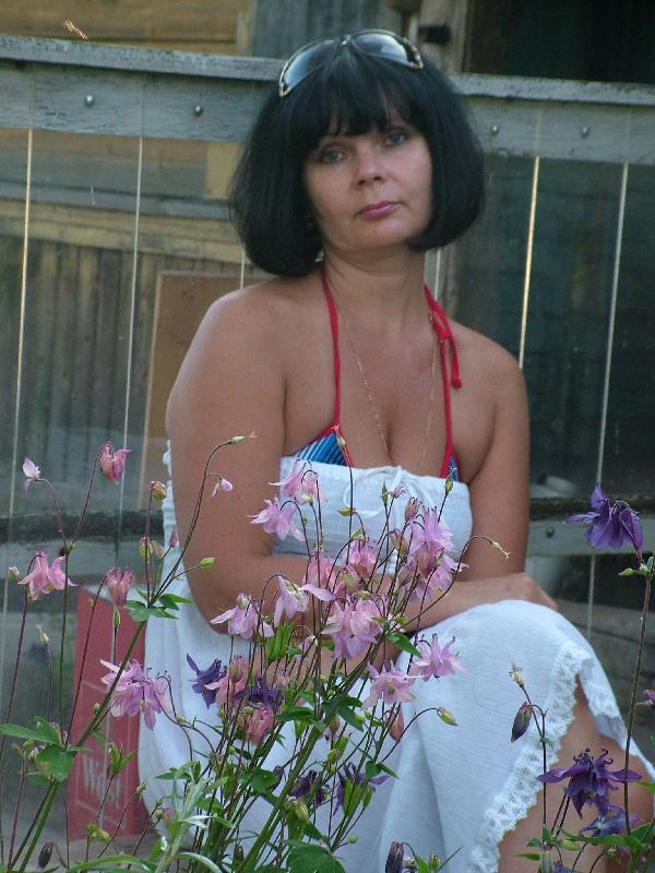 ����2009 ����