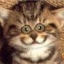 ����