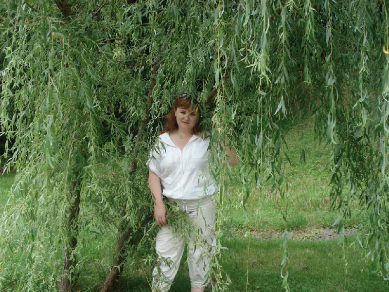 ���� 2009. ��������