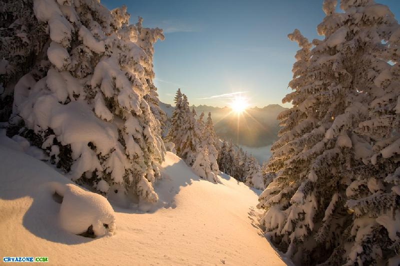 ������ ����)