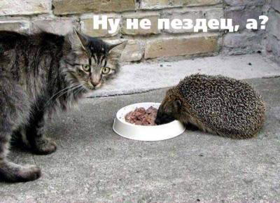 )))