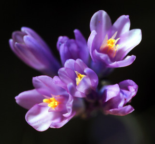 For you