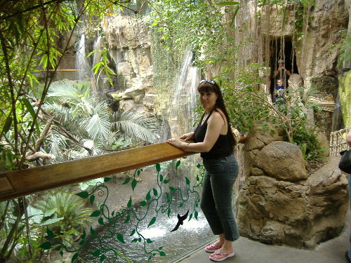 zoo-2