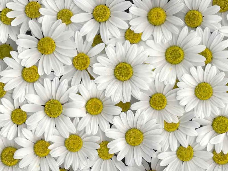 ��� - �������, ��� - ������� ...