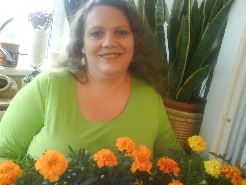 ����-2008