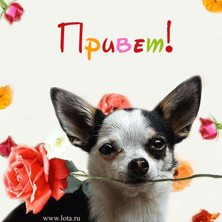 ������