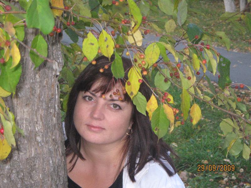 ����� 2009